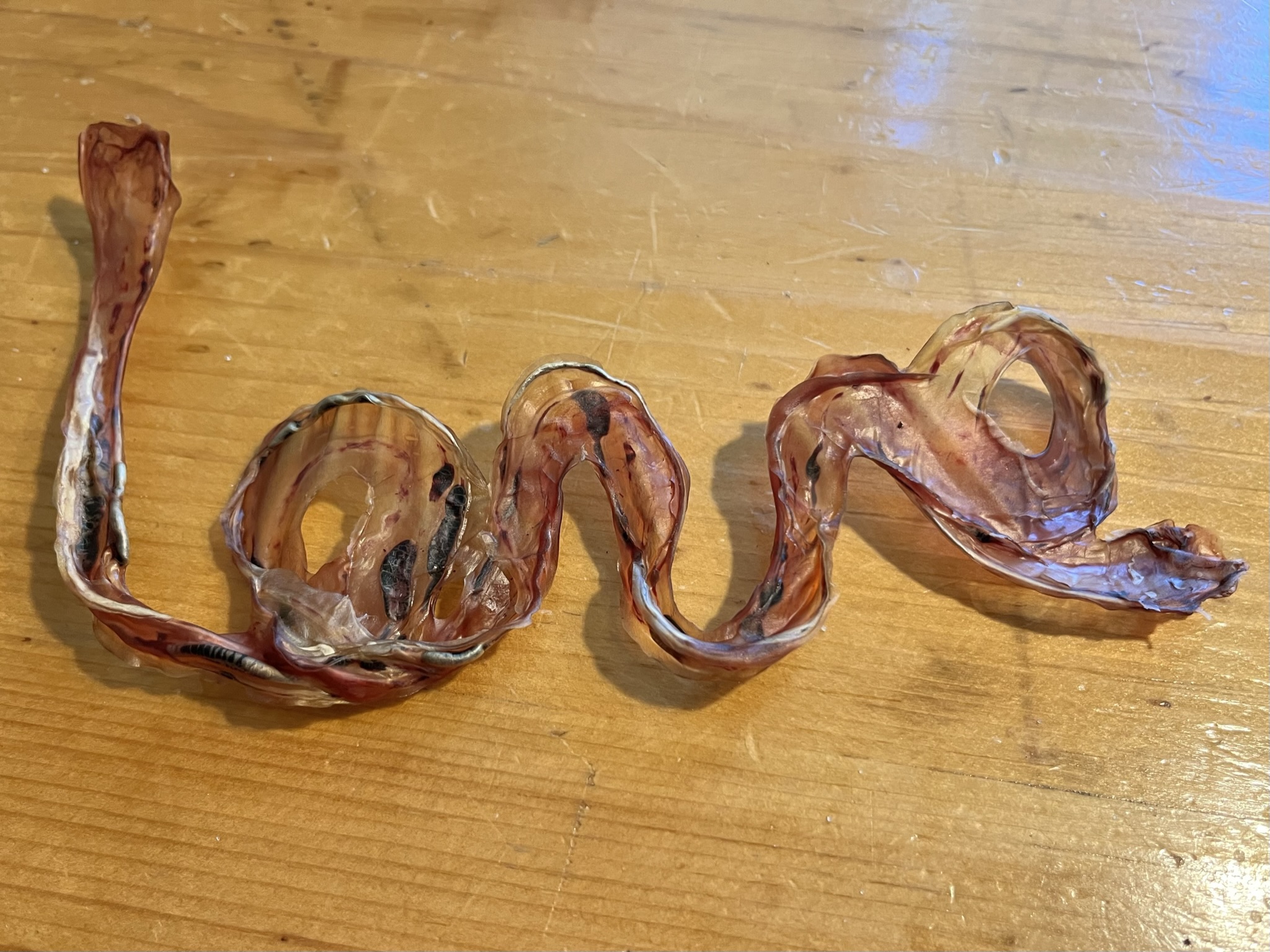 Deep Roots Birth & Beyond