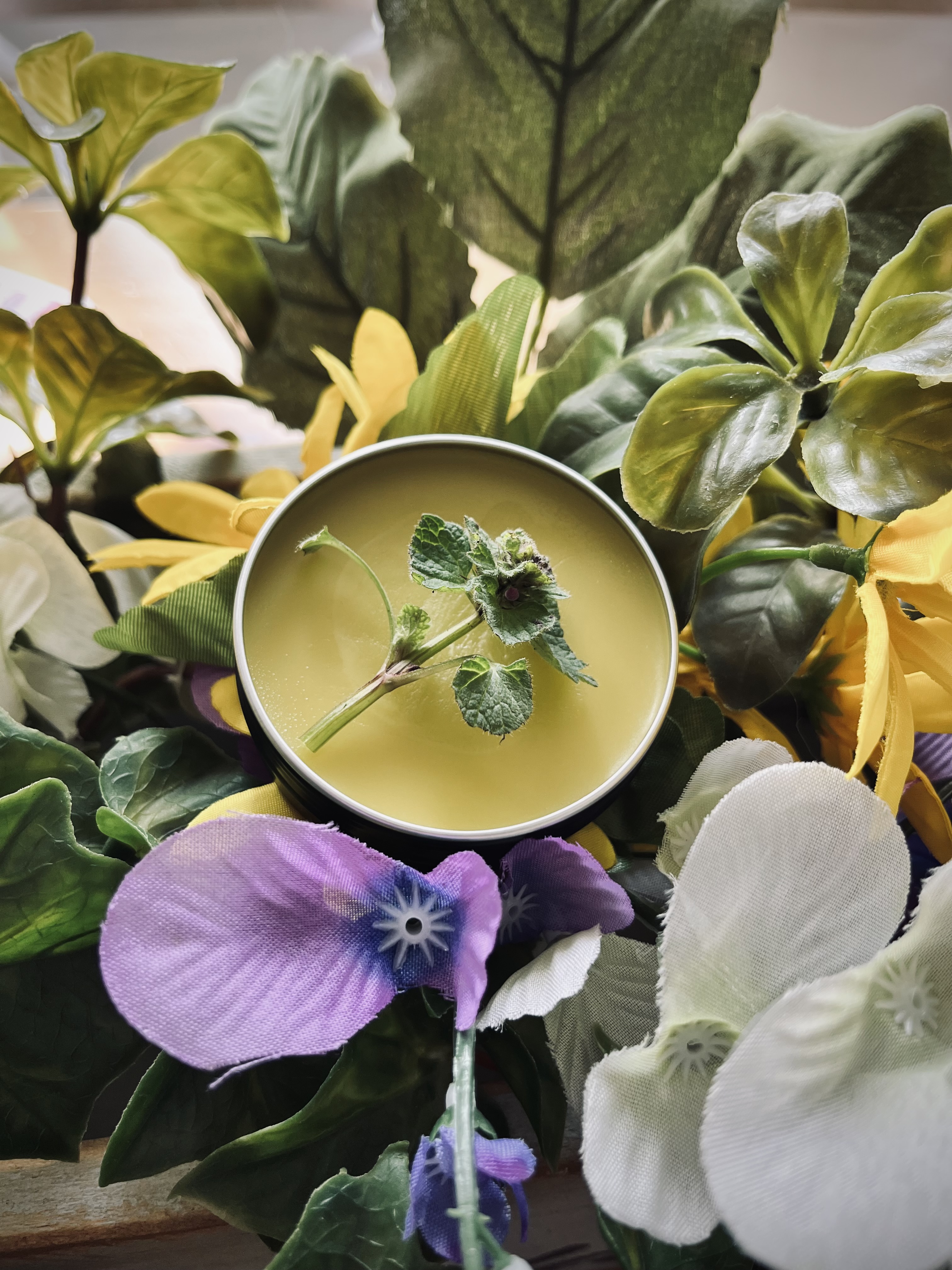 Deep Roots Birth & Beyond