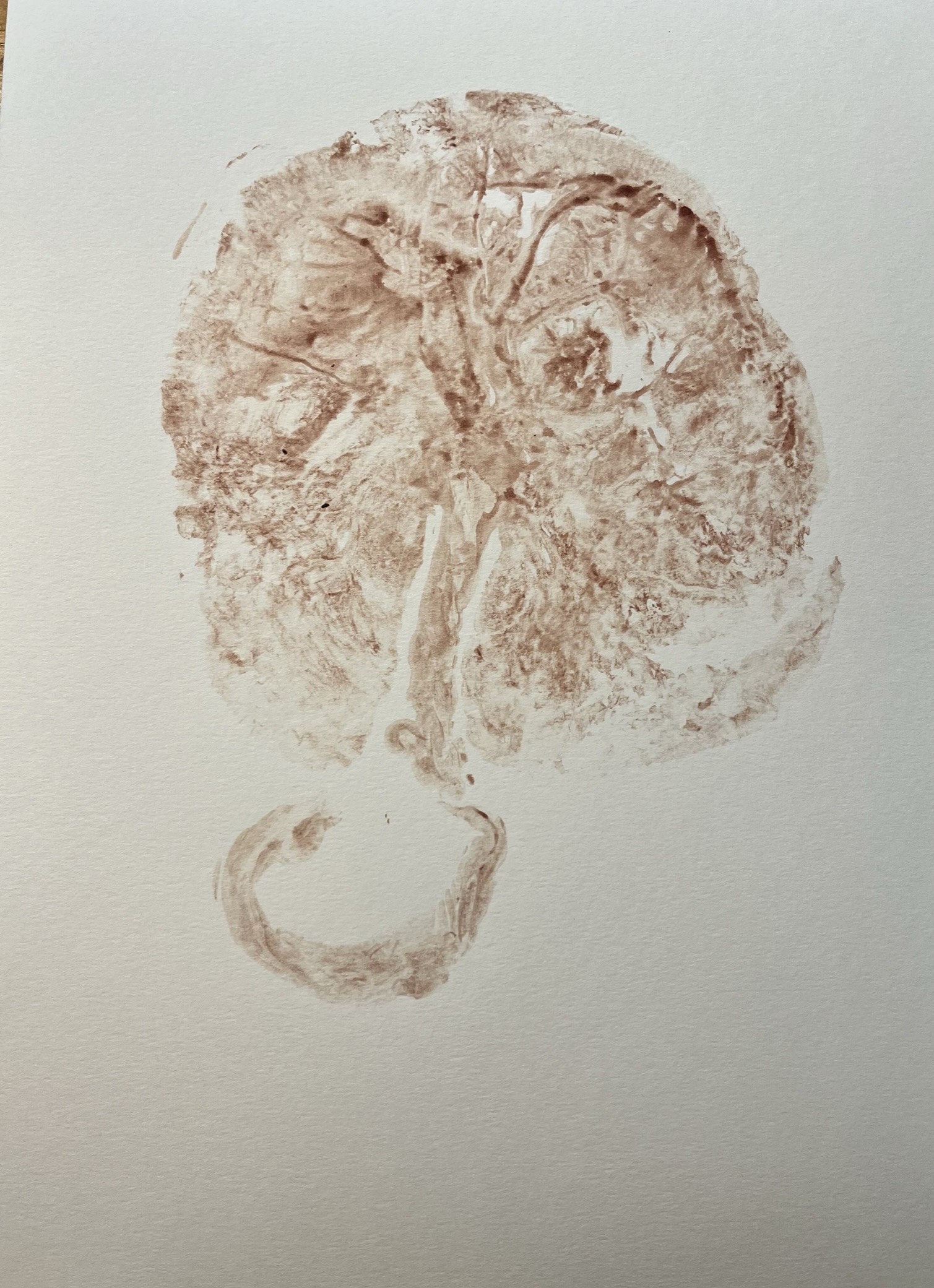 Deep Roots Birth & Beyond